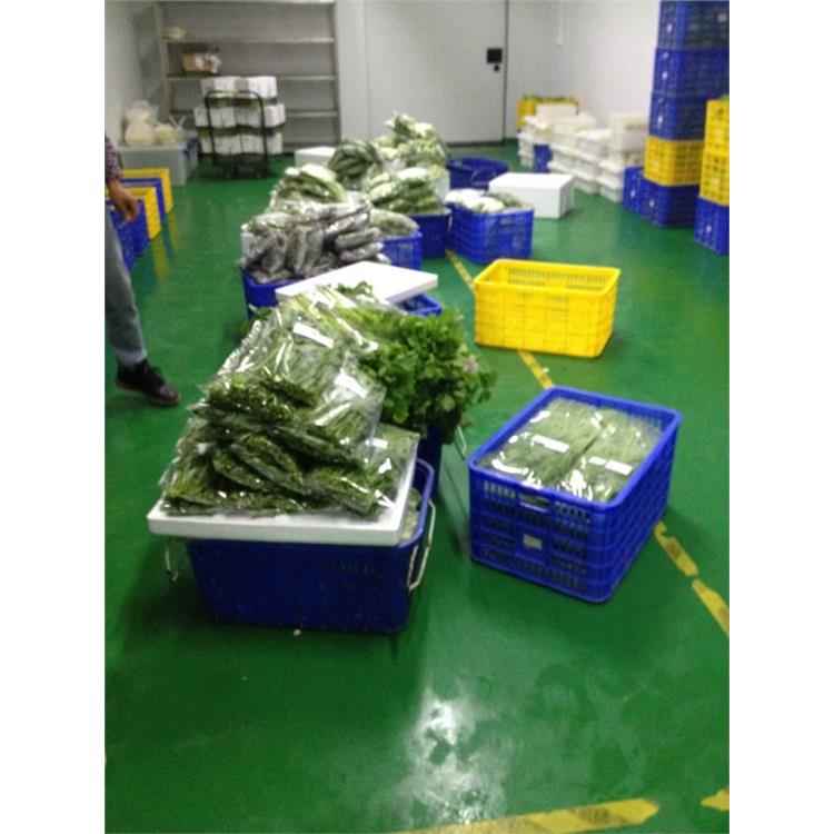 清远肉菜批发食堂农产品配送公司 _提供新鲜平价一站式蔬菜配送上门