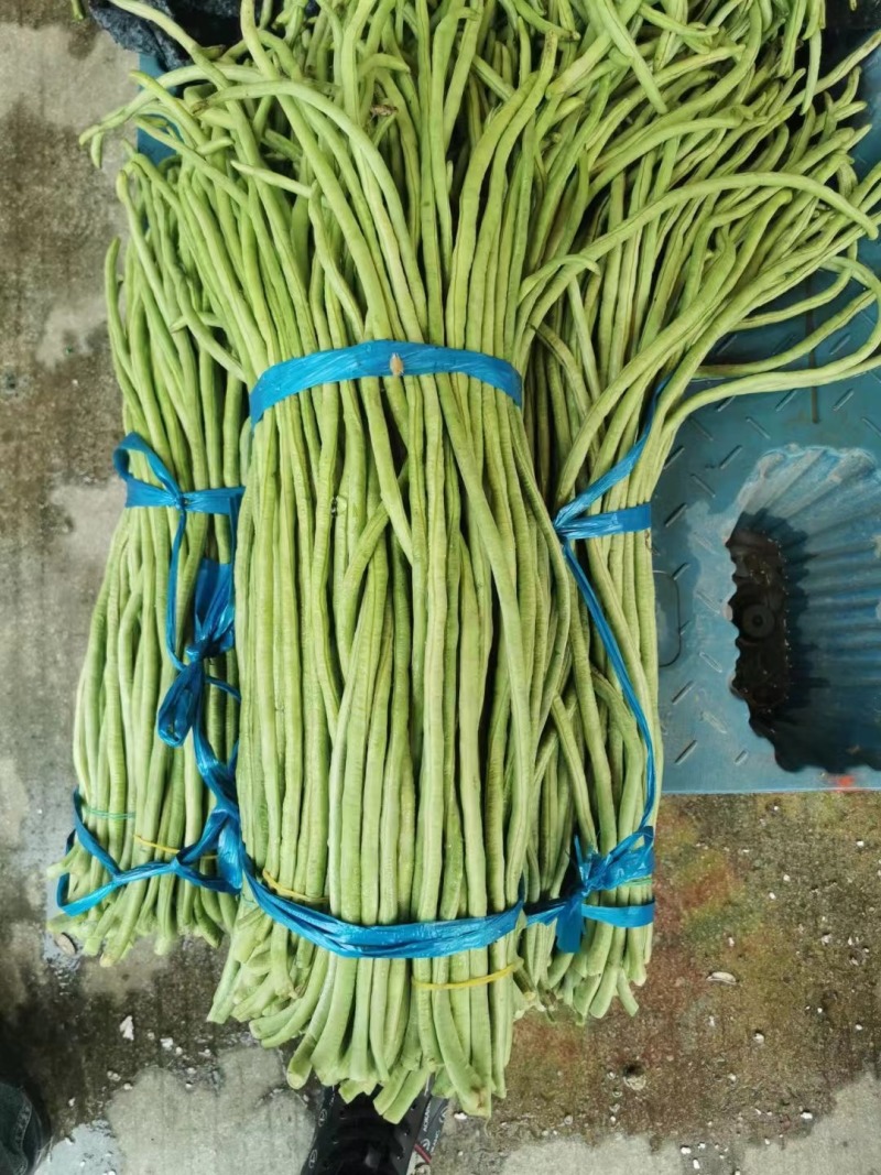 新鲜豆角豇豆批发 从田间到餐桌的脆嫩之选