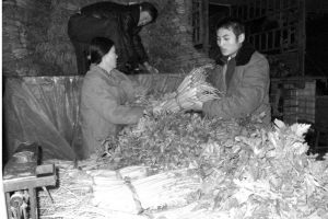 图为从山东寿光运来的新鲜蔬菜正在往各农贸市场批发_新闻中心_新浪网