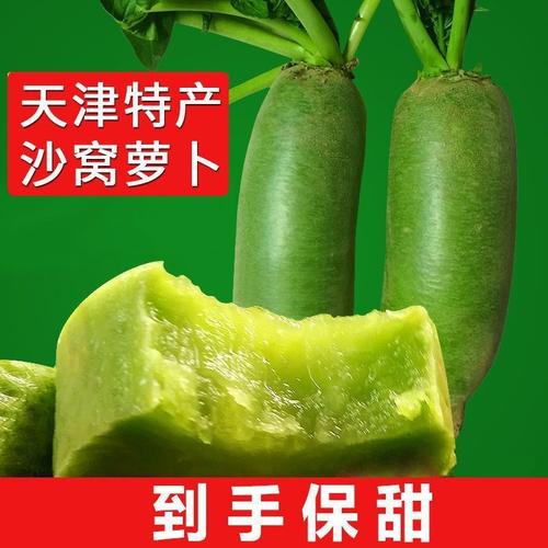沙窝水果萝卜型新鲜蔬菜翠绿脆甜爽口现货现挖非潍坊厂家批发跨境